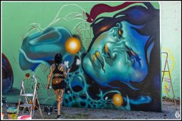 chambery - street art -28